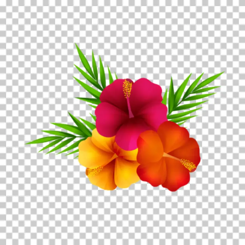 Tropical Hibiscus Flowers with Palm Leaves PNG